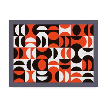 Trademark Fine Art Peter McClure 'Segmentation' Canvas Art, 18x24 BL01722-C1824GG